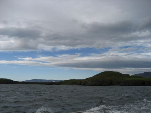 In the bay of Reykjavík / In der Bucht von Reykjavík