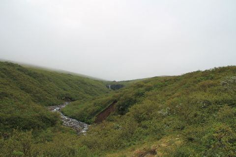 Svartifoss in Skaftafell